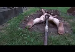 1 ناضجة في سن المراهقة لأن مقاطع فيديو سكس عربي محجبات