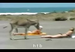 اللغة الإنجليزية اللغة الفرنسية سكس محجبات العرب الغرفة تأثيري الغضب سوف