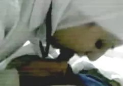 1 ليلة سكس عربي مصري محجبات